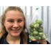 NEW SEASONS BRUSSEL SPROUTS  400 Gram Bag  Ohakune Grown